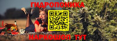 Альфа ПВП Краснознаменск