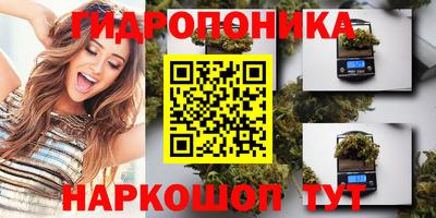 Альфа ПВП Краснознаменск