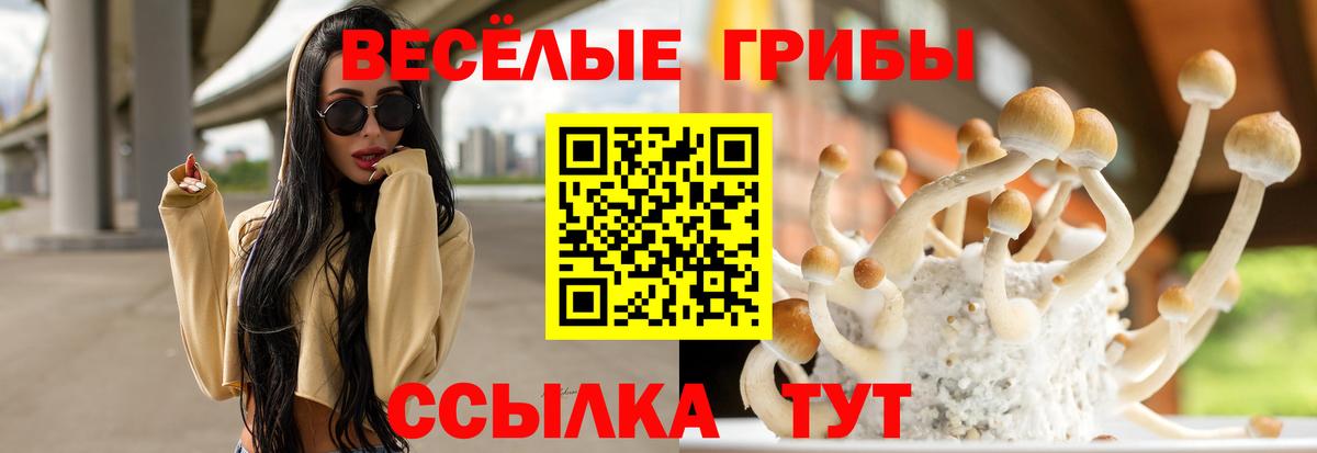 Домодедово  Галлюциногенные грибы прущие грибы  Вход с VPN 